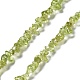 Natürlichen Peridot Perlen Stränge&nbsp;X-G-E607-A06-1