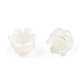 Bouchons de perles de coquillage blanc naturel SSHEL-N032-58B-5