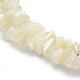 Natürlichen weißen Mondstein Perlen Stränge X-G-P332-01-2