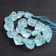 Glass Beads Strands G-L176-11-2