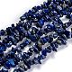 Natural Lapis Lazuli Beads Strands G-G011-05A-1