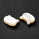 Perles de coquillage blanc naturel SHEL-G014-10A-01-4