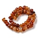 Natural Agate Beads Strands G-C039-F02-3