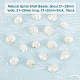 Ph pandahall 16 pièces perles de coquille en spirale naturelle SHEL-PH0001-42-4