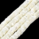 Brins de perles de coquillages naturels de troca BSHE-E030-04-2
