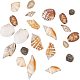 CHGCRAFT 1box about 500g Mixed Ocean Sea Shells Natural Seashells Spiral Shell Beads for Fish Tank Home Decor Beach Theme Party Candle Making Wedding Decor IY Crafts BSHE-PH0003-03-2