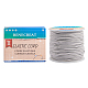BENECREAT 2mm 55 Yards Elastic Cord Beading Stretch Thread Fabric Crafting Cord for Jewelry Craft Making (Gainsboro) EW-BC0002-41-2