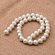 Polished Round Grade A Shell Pearl Bead Strands BSHE-M027-10mm-27-2