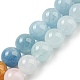 Natural Morganite Beads Strands G-P503-10MM-01-2