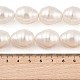 Chapelets de perles de coquille&nbsp;BSHE-L035-A02-6