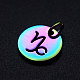 Rainbow Color Ion Plating(IP) 201 Stainless Steel Charms STAS-Q201-JN166-10-2