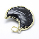 Natural Obsidian Pendants G-F543-01G-2