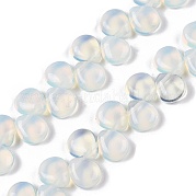 Opalite бисер пряди G-T138-117
