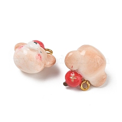 Handmade Fimo Anhänger&nbsp;PY-CBABDB7-09A