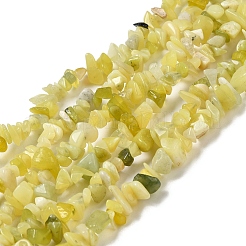 Natürliche Zitrone Jade Chip Perle Stränge&nbsp;X-G-M205-22