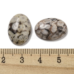 Natürliche Maifanit-Cabochons&nbsp;G-C115-01A-30