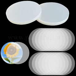 300 película protectora transparente para placa de identificación de mascota.&nbsp;AJEW-CP0010-04B