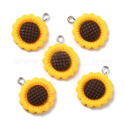 Pendentifs en résine&nbsp;RESI-C002-27