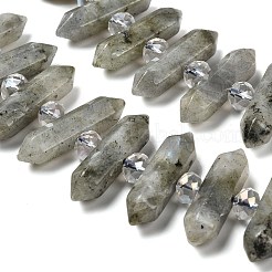 Natürliche Labradorit-Doppelendperlenstränge&nbsp;G-H069-B04-01