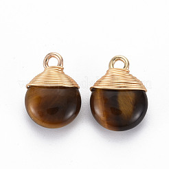 Pendentifs en œil de tigre naturel&nbsp;G-S359-288B