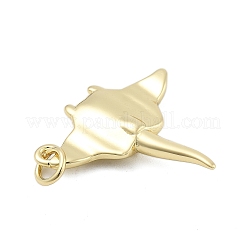 Pendentifs en laiton&nbsp;KK-H206-09G