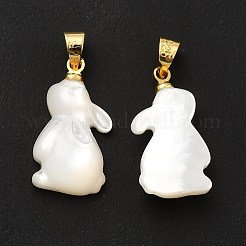 Pendentifs en coquille blanche naturelle&nbsp;SHEL-G014-13A