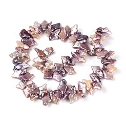 Natürliche Barock Keshi Perlen Stränge&nbsp;PEAR-S022-02A