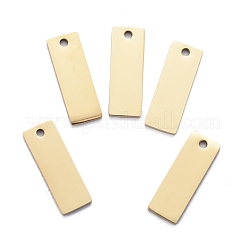 Ionenplattierung (IP) 304 Edelstahlanhänger&nbsp;STAS-I140-22B-G