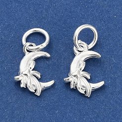 925 Sterlingsilber-Mond mit Schleifenanhängern&nbsp;STER-P071-05S