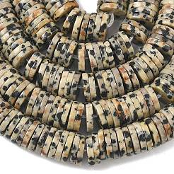 Natur Dalmatiner Jaspis Perlen Stränge&nbsp;G-G329-B05-8x1mm