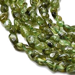 Natürlichen Peridot Perlen Stränge&nbsp;G-P601-A01-01