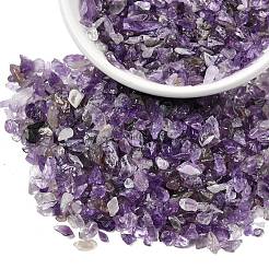 Natürlichen Amethyst Chip-Perlen&nbsp;X-G-L453-06