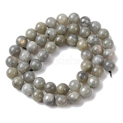 Natur Labradorit&nbsp;G-P259-05-8mm