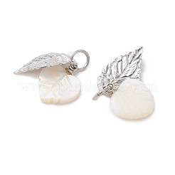 Anhänger aus Naturmuscheln und Edelstahl&nbsp;PALLOY-JF05888