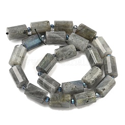 Natur Labradorit Perlen Stränge&nbsp;G-G453-E10-10x14mm