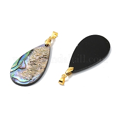 Anhänger aus natürlicher Paua-Muschel/Abalone-Muschel&nbsp;PALLOY-JF05570