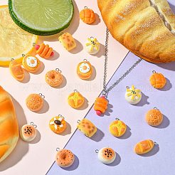 24pcs 12 styles de pendentifs en résine&nbsp;RESI-CJ0003-99