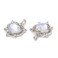 Zink Legierung Anhänger & Charms&nbsp;PALLOY-Q449-01P