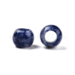 Natürliche blaue Punktjaspisperlen&nbsp;G-T092-10mm-11
