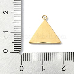Pendentifs en acier inoxydable 304&nbsp;STAS-L022-441G-02