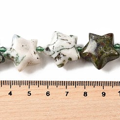 Natürlichen Baum Achat Perlen Stränge&nbsp;G-U023-C01-08