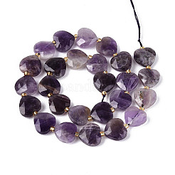 Natürlichen Amethyst Perlen Stränge&nbsp;G-P592-B10-01