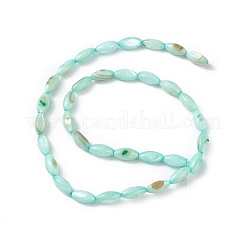 Hebras de cuentas teñidas de concha natural de agua dulce&nbsp;SHEL-M018-13-02