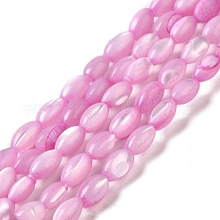 Hebras de cuentas de concha de trochus natural&nbsp;SHEL-K006-19