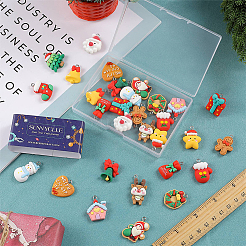 Colgantes de resina opaca 32pcs 16 estilos&nbsp;RESI-SC0002-52