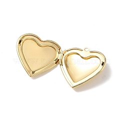 Médaillon en laiton pendentif cabochon&nbsp;KK-L268-021G-02
