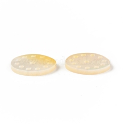 Natürliche Muschelcharme&nbsp;SSHEL-T012-13