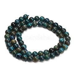 Perline Chrysocolla naturale fili&nbsp;G-G475-A03-6mm
