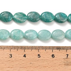 Natur Amazonit Perlen Stränge&nbsp;G-H335-N02-8x10mm