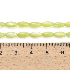 Natürlichen Süßwasser-Muschelperlen Stränge&nbsp;SHEL-C010-01D